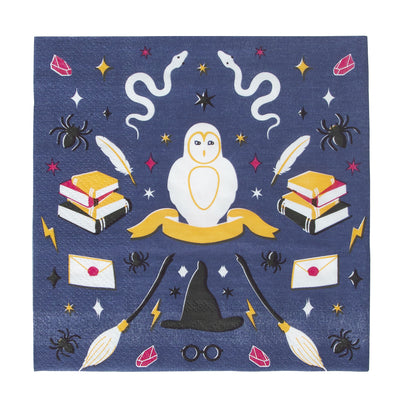 20 Serviettes en papier - Sorciers