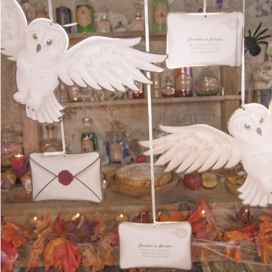 5 Suspensions chouettes et enveloppes - Sorciers